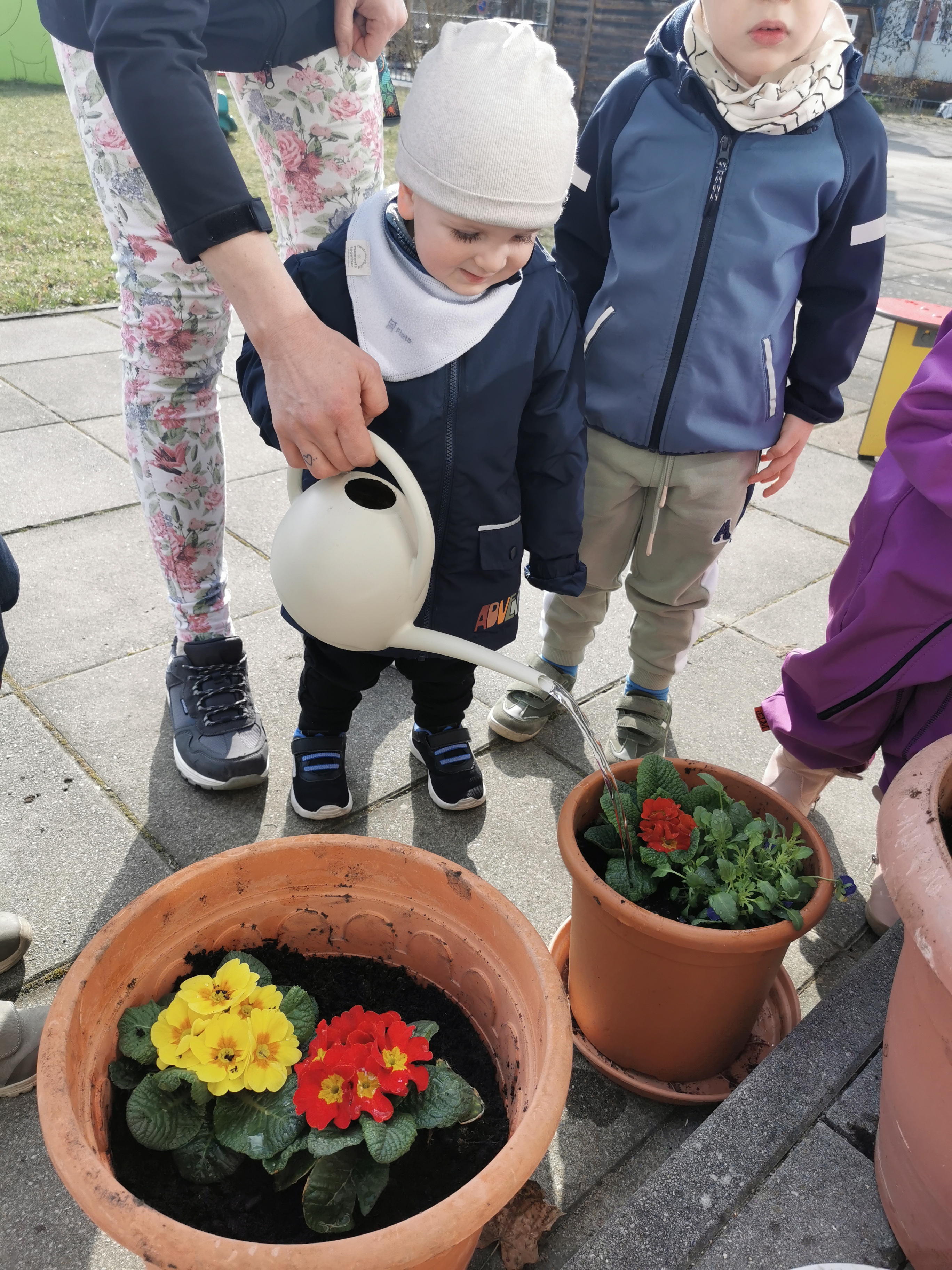 Blütenfest der Schmetterlinge