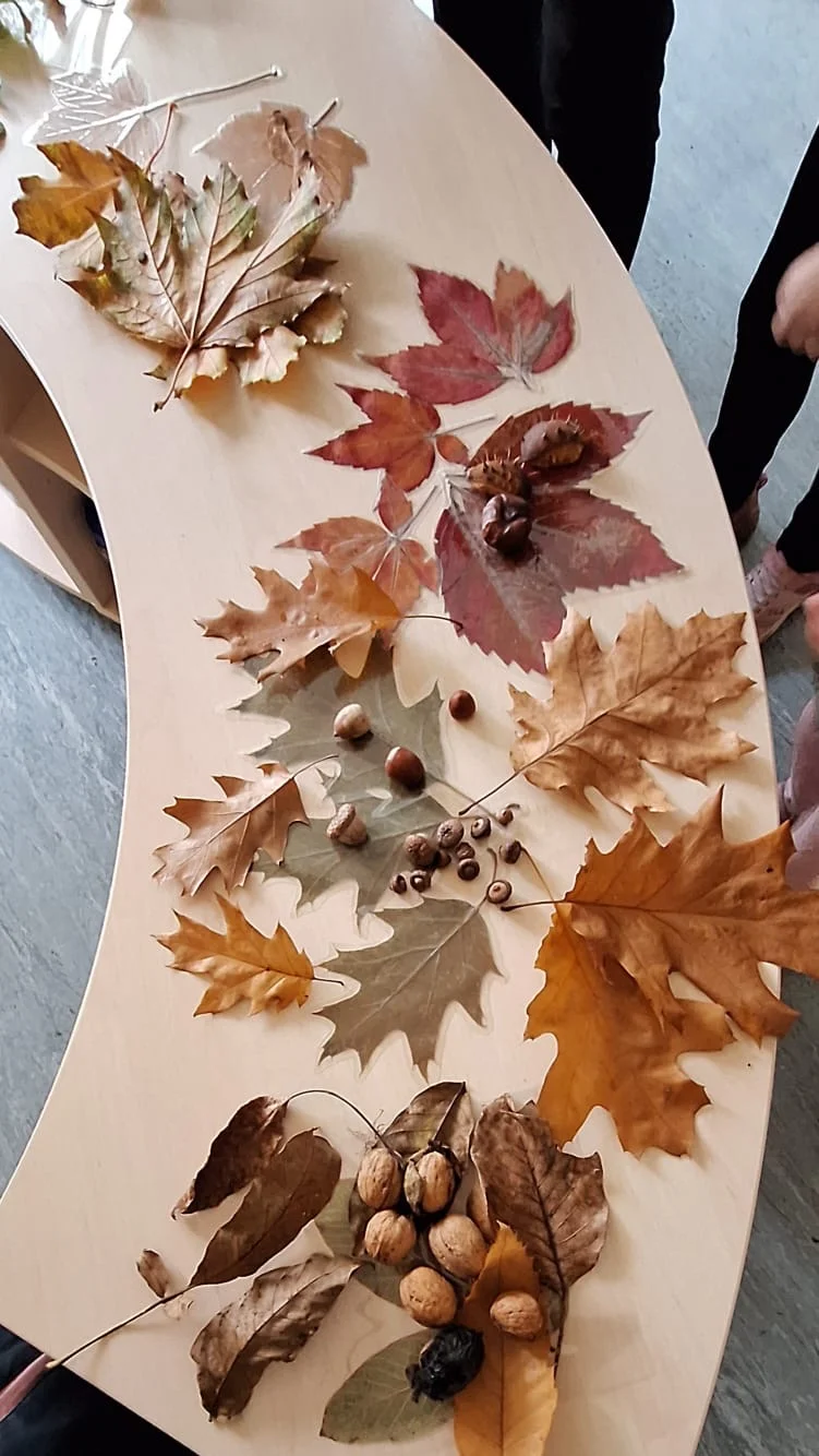 Herbstwochen im Kindergarten – Bild 20