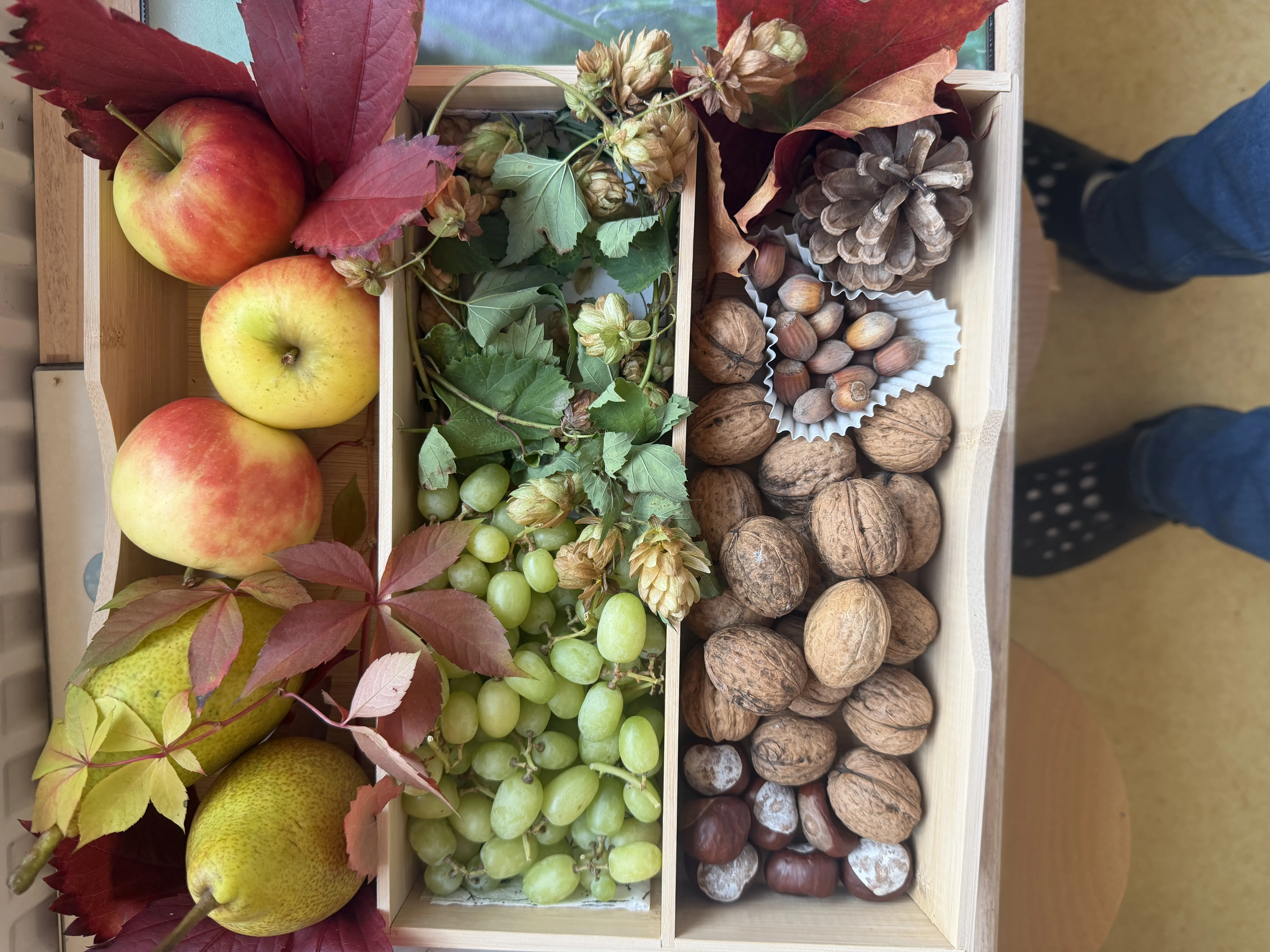 Herbstwochen im Kindergarten – Bild 9