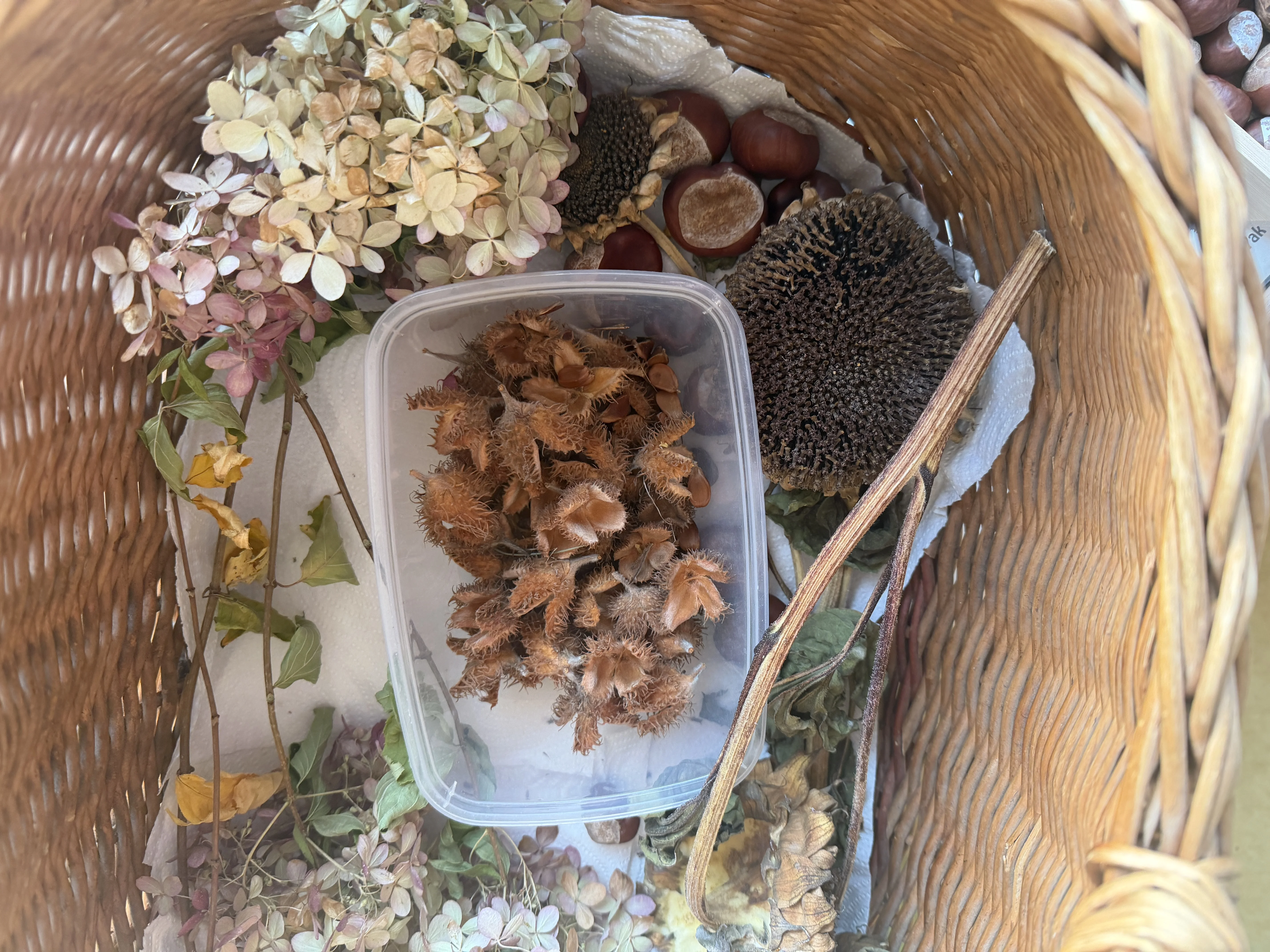 Herbstwochen im Kindergarten – Bild 8