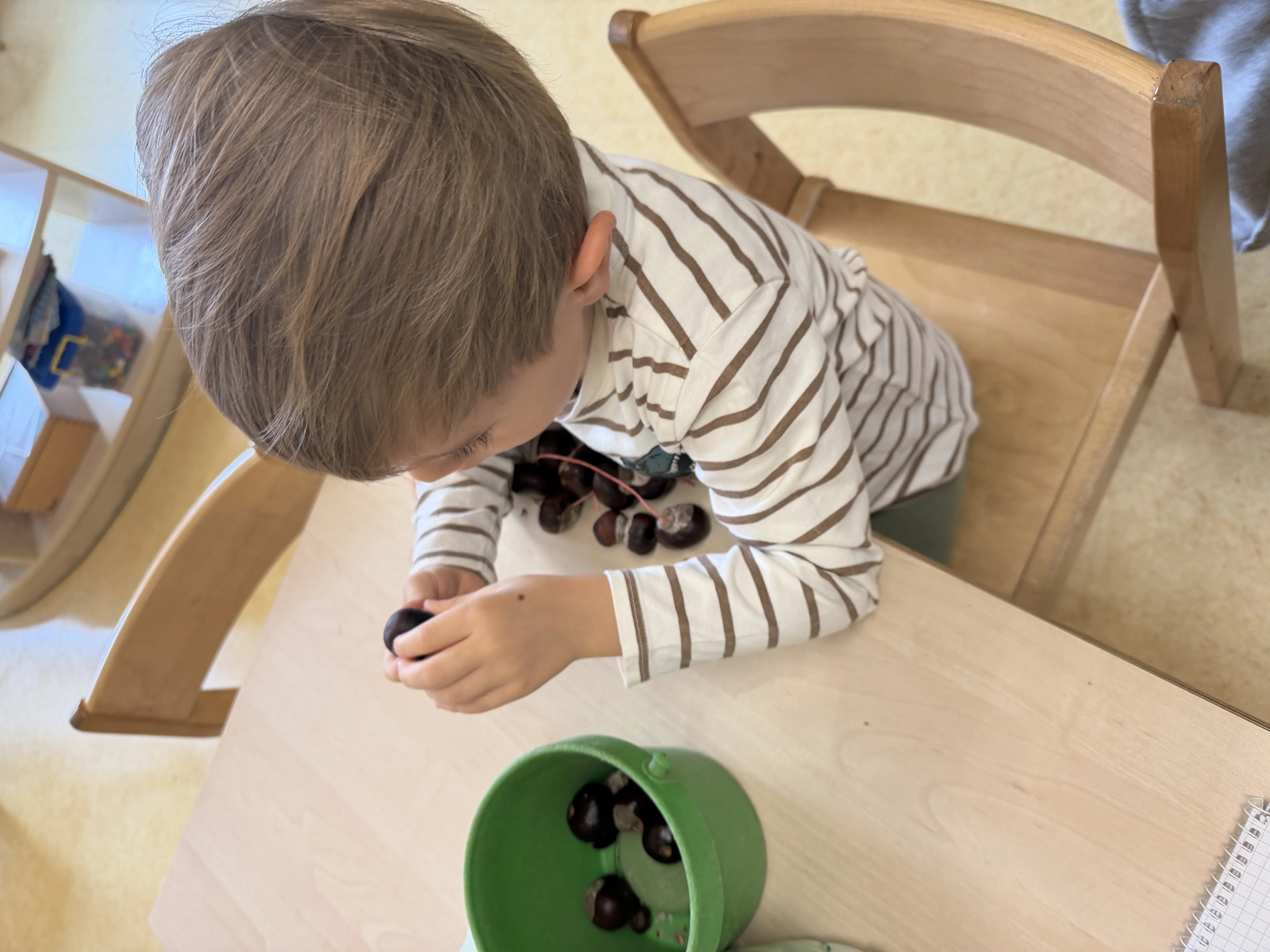 Herbstwochen im Kindergarten – Bild 5