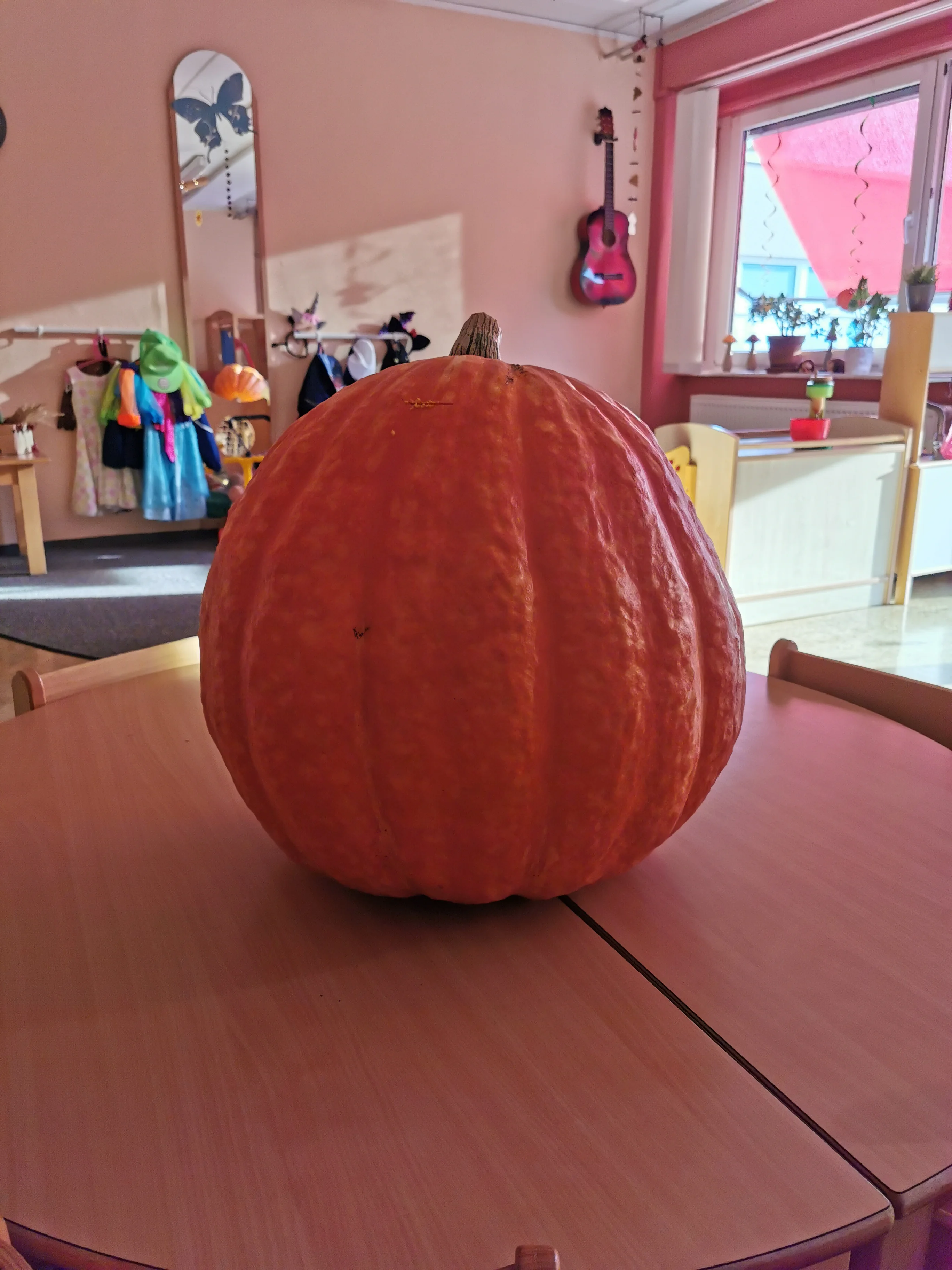 Herbstwochen in der Krippe – Bild 18
