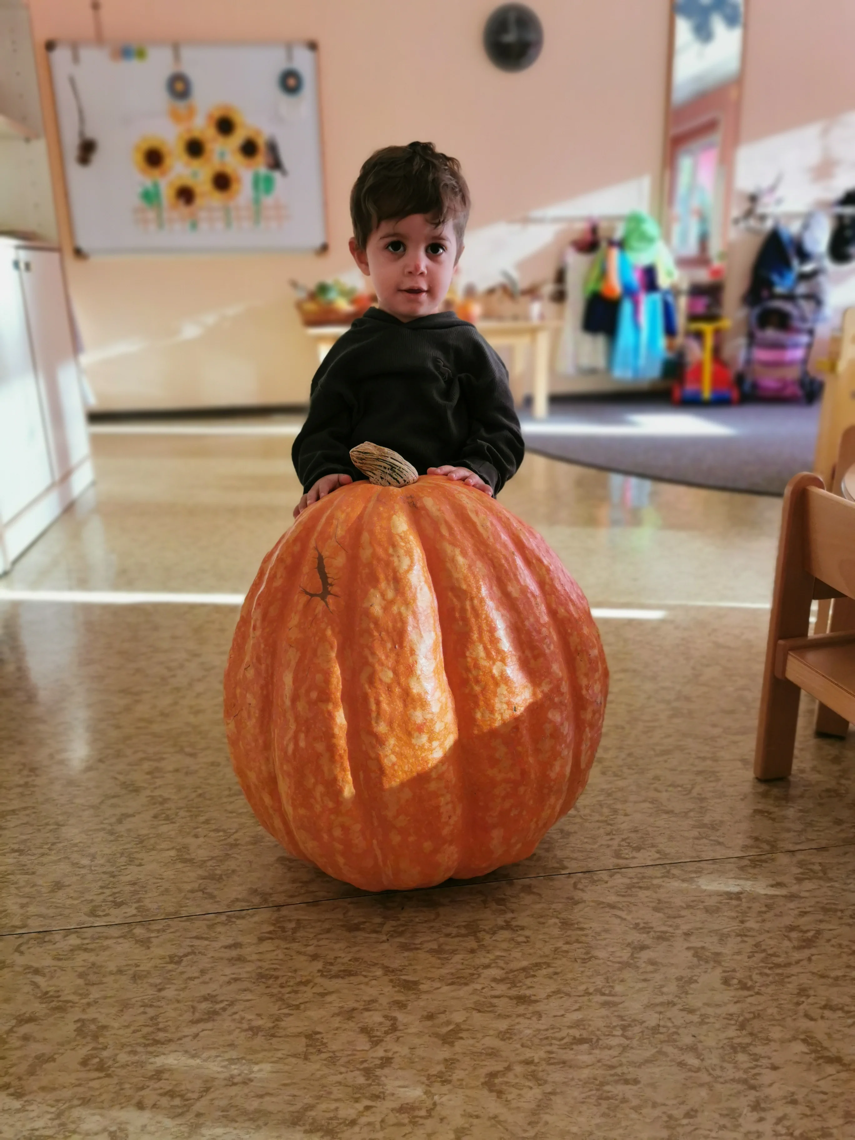 Herbstwochen in der Krippe – Bild 16
