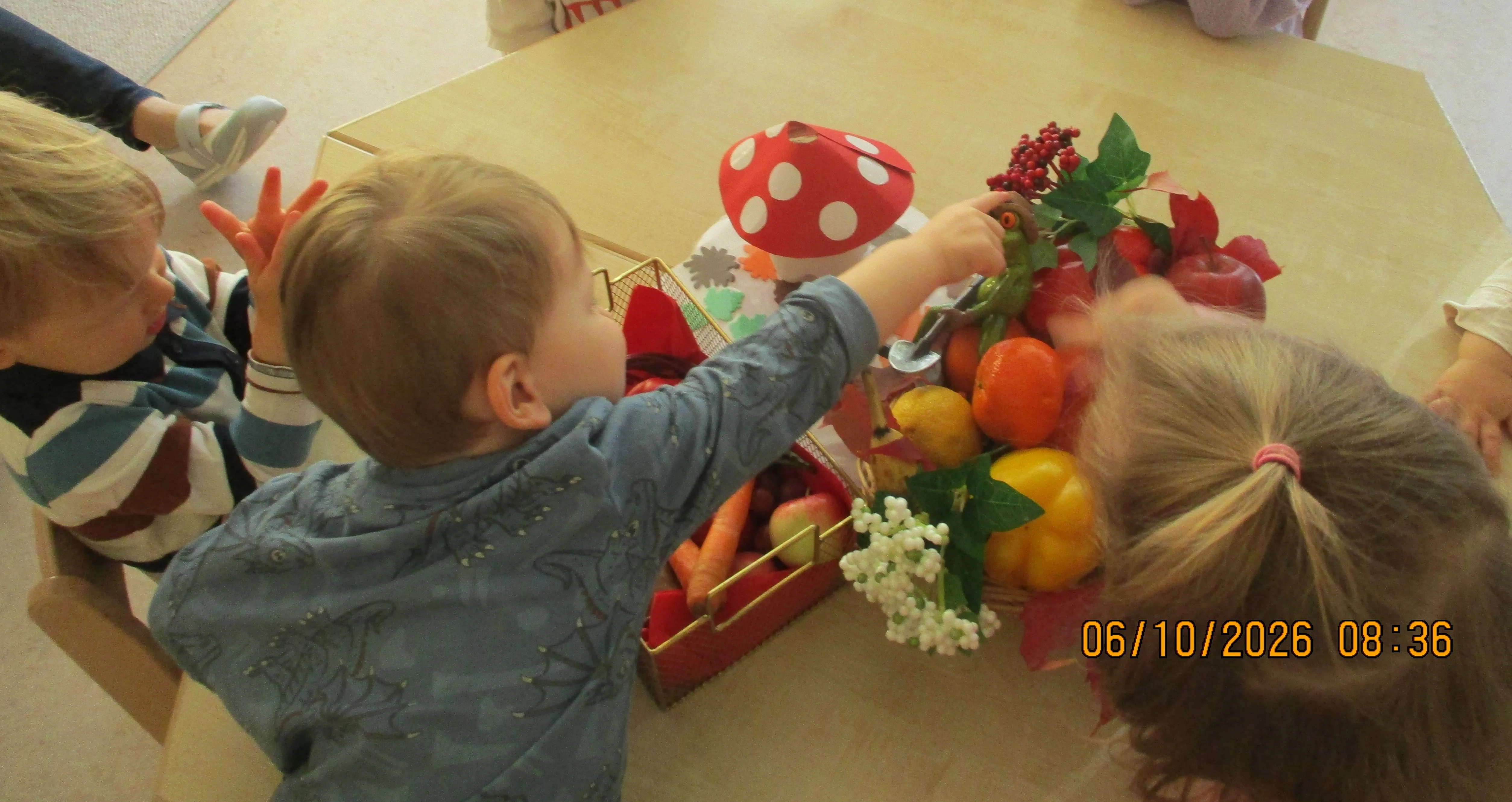 Herbstwochen in der Krippe – Bild 1